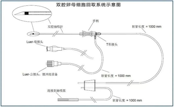 QQ截圖20240125095621.jpg